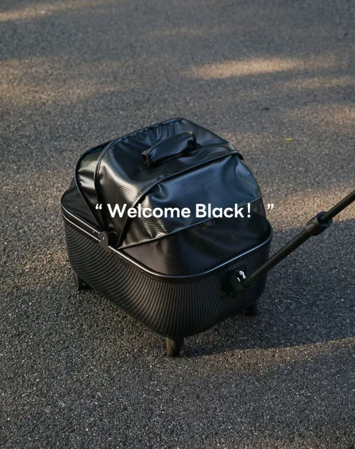 "Luxury Outdoor Pet Stroller Kit | Openable Soft Top | First Class Travel for Your Cat"
